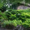 Botanischer Garten